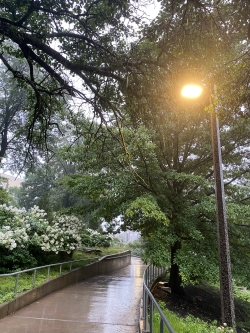 View of a paved walking trail in the rain with the bright light of a streetlamp on the right-hand side of the frame