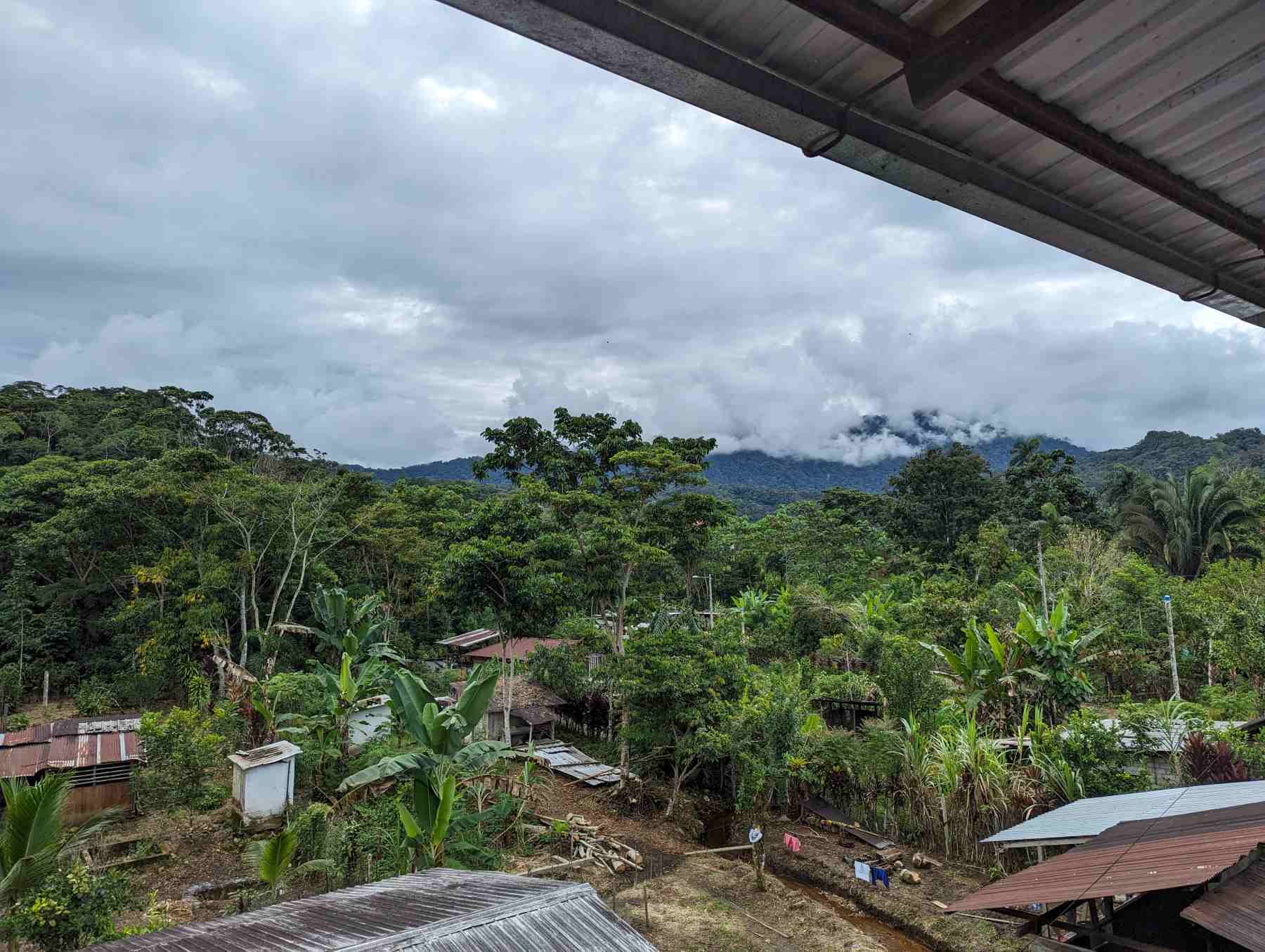 A vista of the Amazon rainforest