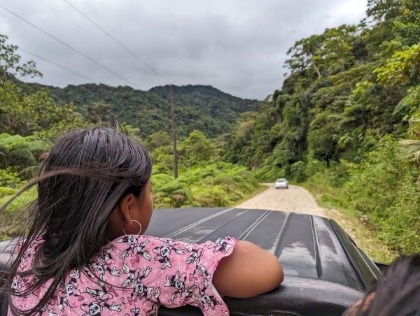 Photo of a woman wearing a pink shirt with her back to the camera looking off down the road. She appears to be in the back of a vehicle.