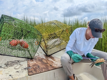 Emma sits in a boat holding a crab. There are two mesh crate cages sitting behind and to her right.