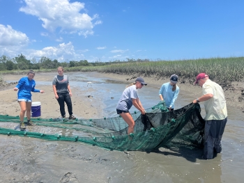 Emma is in the center of the photo with two others on both sides for a total of five people maneuvering with a large net in a watery, marshy region.