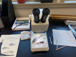 Microscope used to look at fish for identification
