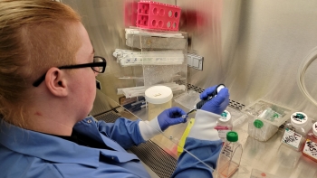 View over Jillian's shoulder as she works with lab equipment to split a cell