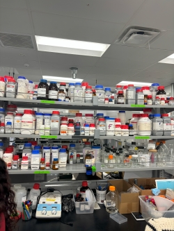 Shelf full of lab materials