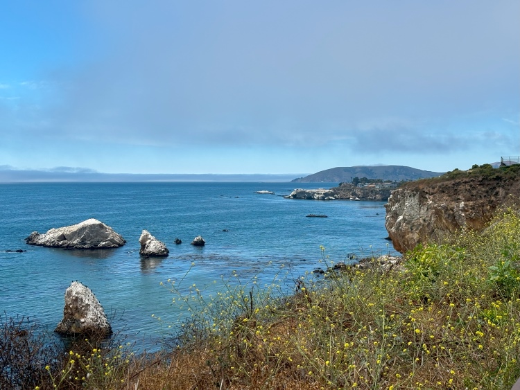 View of the beach and Pacific Ocean