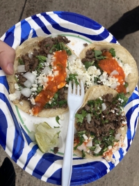 A blue and white plate of two traditional tacos with tomatoes, onions, and cilantro. Unsure if there is a type of meat on them.