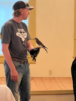 Raptor Center expert with a kestrel