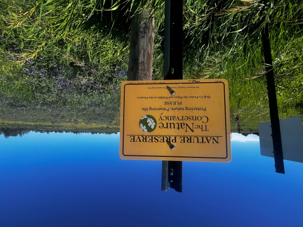 Yellow sign for the Nature Conservancy near a green Iowa field