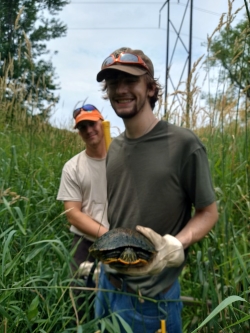 Photo of Sam holding a turtle with a coworker in the background