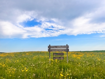 View of a TNC wood sign with multiple planks of words, standing in the middle of a prairie