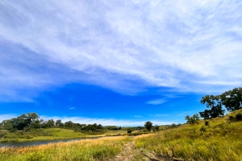 View of Iowa prairie