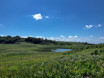 About half the frame is a majestic blue sky and the bottom half is prairie with a pond.