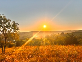 View of an orange sunrise on the prairie