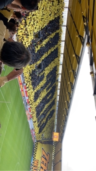 Crowd in the stands at German city soccer game