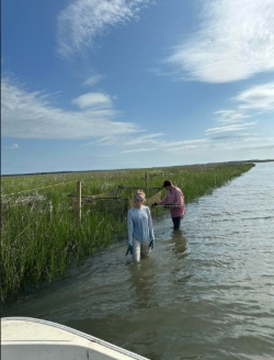 Anna and another researcher wade through high tide water in a marshy area as part of their field work.