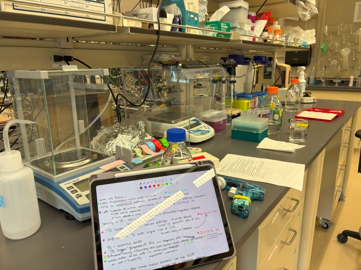 Daily notes and daily bench messes