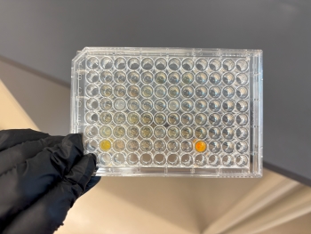 A honeycomb-like structure, also akin to a Connect-Four board but with varying shades of yellow and white this time. A black-gloved hand holds it up for the camera.