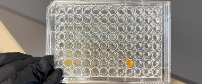 A honeycomb-like structure, also akin to a Connect-Four board but with varying shades of yellow and white this time. A black-gloved hand holds it up for the camera.