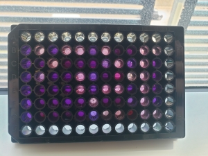 A honeycomb-like structure, also akin to a Connect-Four board but with varying shades of pink, purple, blue, and white.