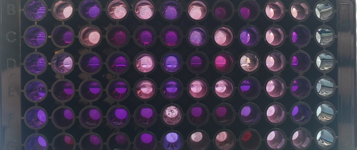 A honeycomb-like structure, also akin to a Connect-Four board but with varying shades of pink, purple, blue, and white.