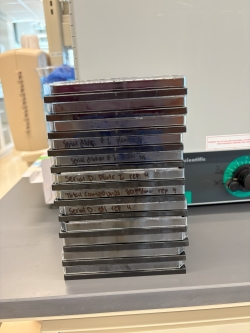 Stack of four compound plates and four replicates of serial dilutions of bioactive compounds. These plates resemble a stack of slightly thicker CDs from this angle.