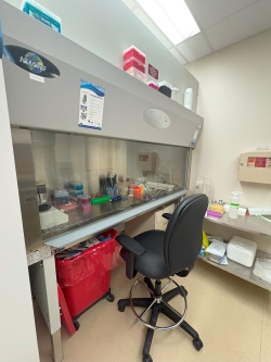 Sterile hood environment where Charlotte works with cells