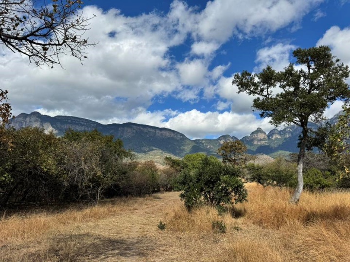 View of the Northeastern Lowveld Drakensberg Mountains from Moholoholo Wildlife Rehabilitation Centre in Limpopo Province, South Africa