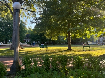 View of a grassy quad with a path running through it and two benches along that path. Trees also line this pathway.