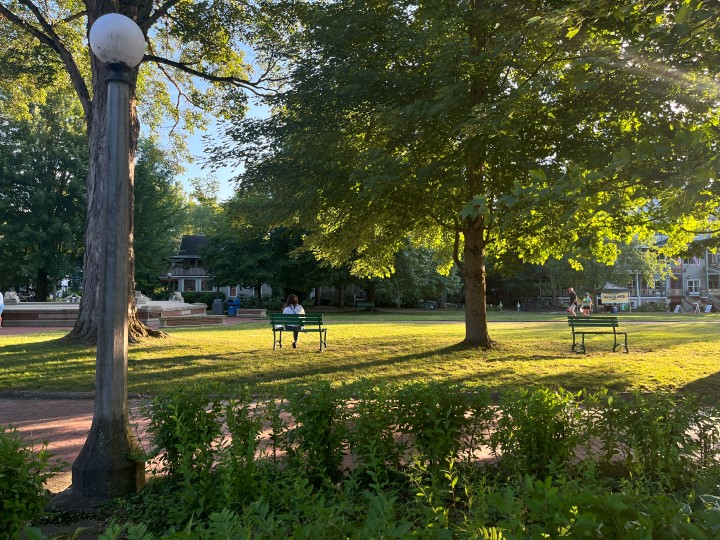 View of a grassy quad with a path running through it and two benches along that path. Trees also line this pathway.
