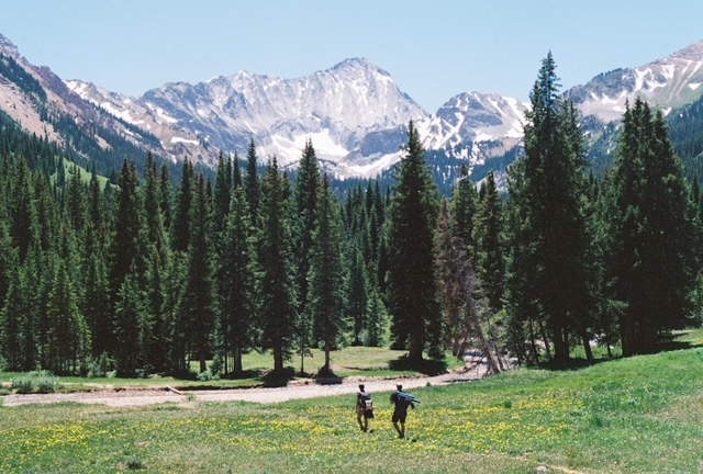Two small figures hike through a majestic woodland area, mountaintops visible at the top of the trees in the distance