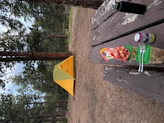 View of a wooden picnic table with some supplies on it and a yellow tent near a tree in a large clearing campsite area