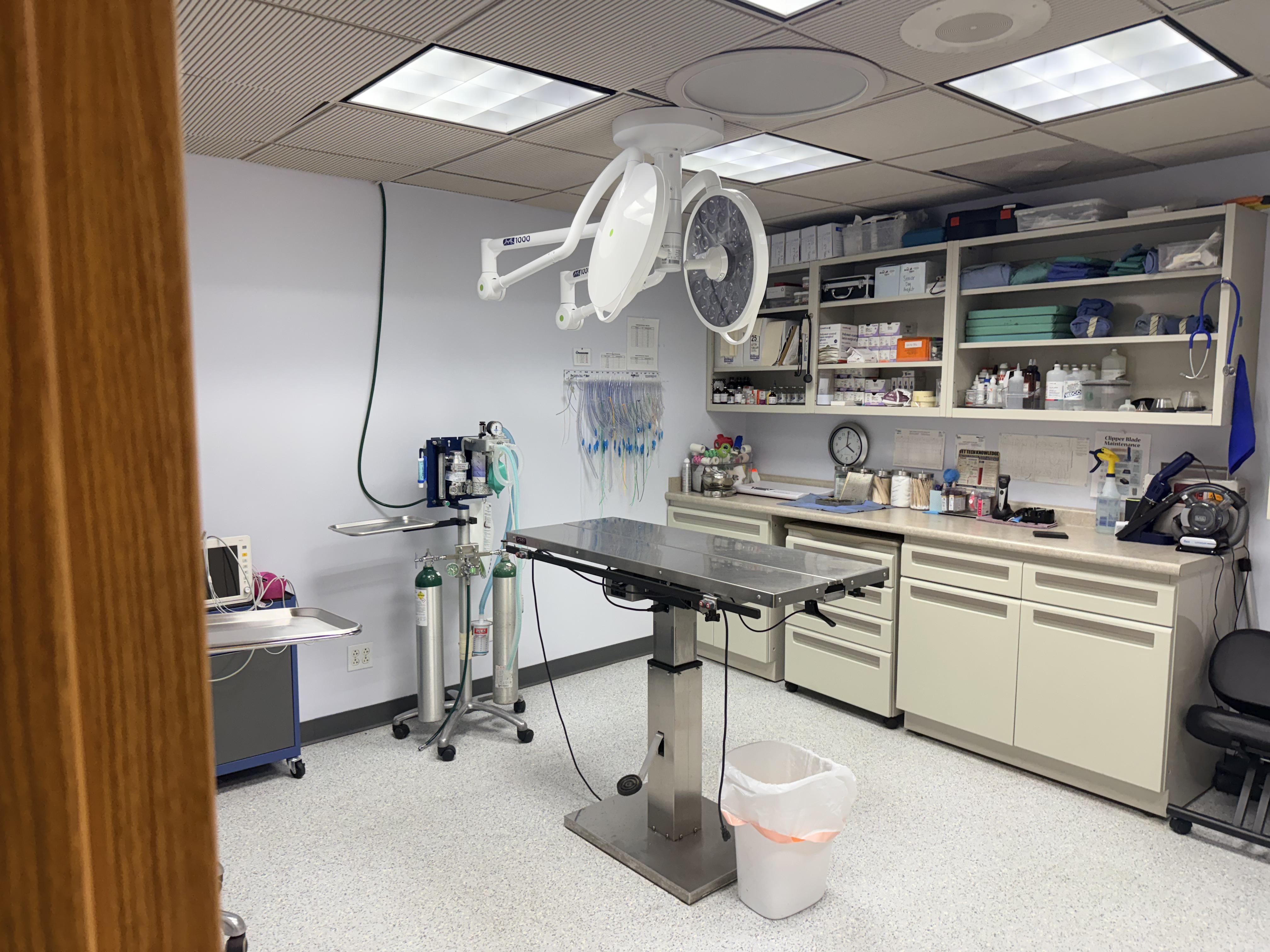 Large, empty veterinary examination room.