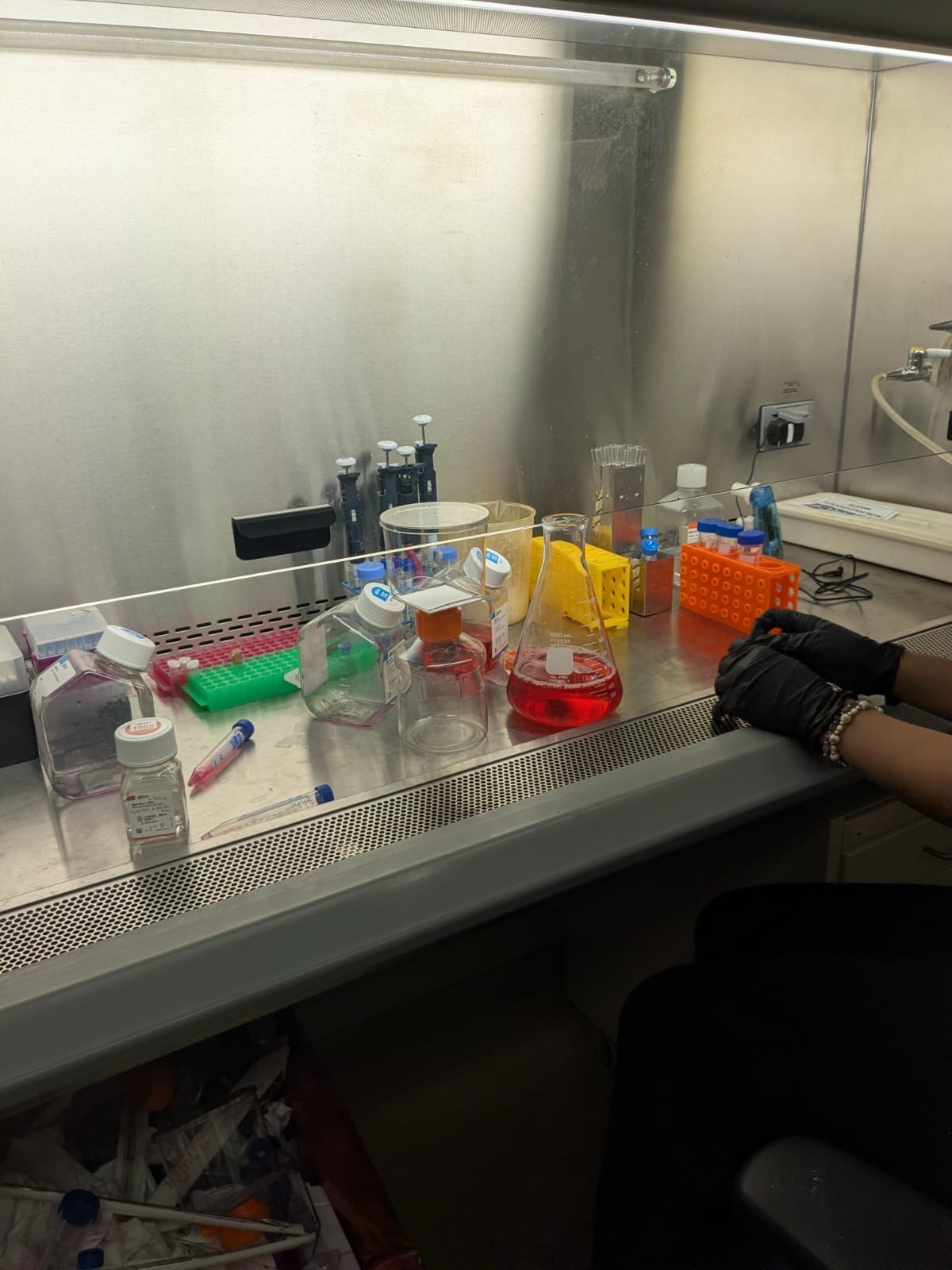 Cell staining in the lab