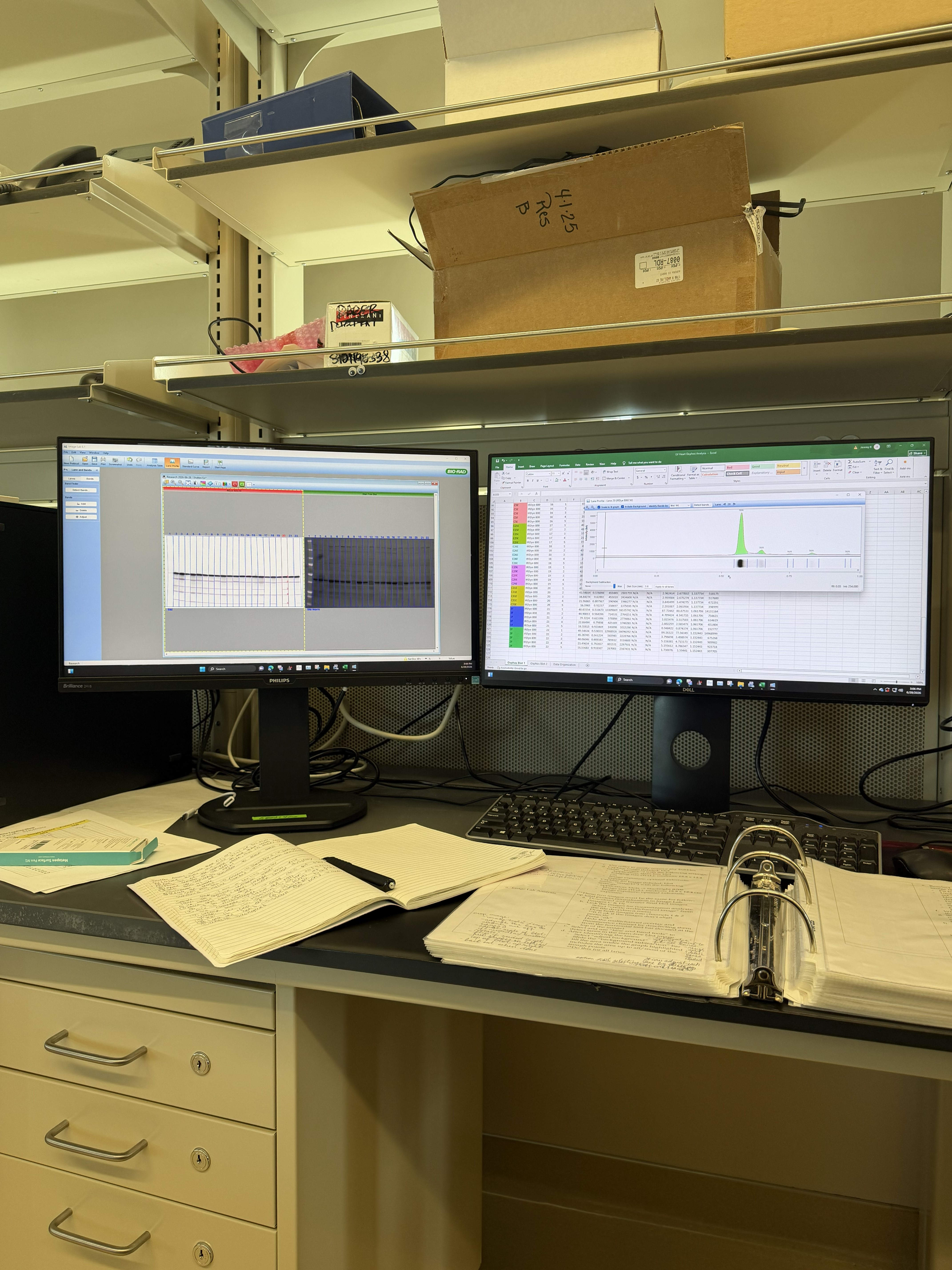 data on monitors