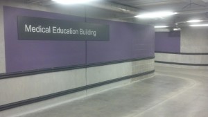 The hallway to the building I work in - it's Cornell Purple!