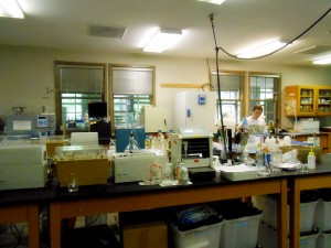 One of the labs.