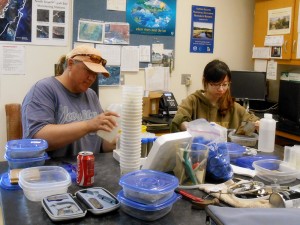 Processing the samples.