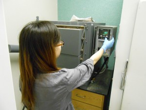 Using the muffle furnace.