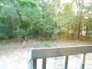 View from my window.