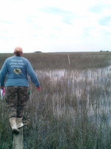 First visit to my working site - following Tracy to the marshes.