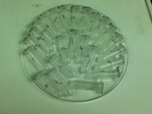 All of the test tubes!