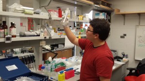 Checking the Quick Tip Column from the Midi kit DNA isolation