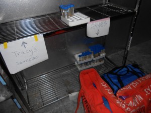My spot in the cooler: samples half-way processed and three new bags of sample.
