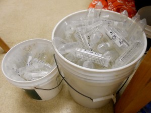 Tubes that I cleaned.