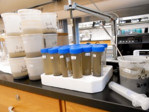 Samples in cups and tubes.