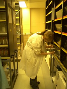 This is me collecting wildtype zebrafish. We had them breed, and we would use their embryos.