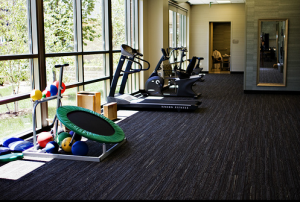 Physical Therapy Gym