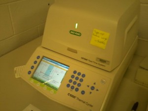 This is the qPCR machine. 