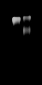 QD_QD-CD63_altered and resaved