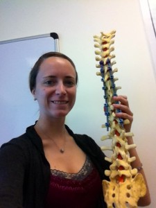 Spine Model